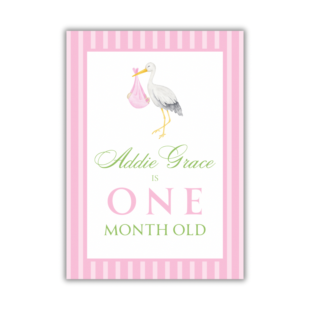 The Girly Girl Milestone Cards